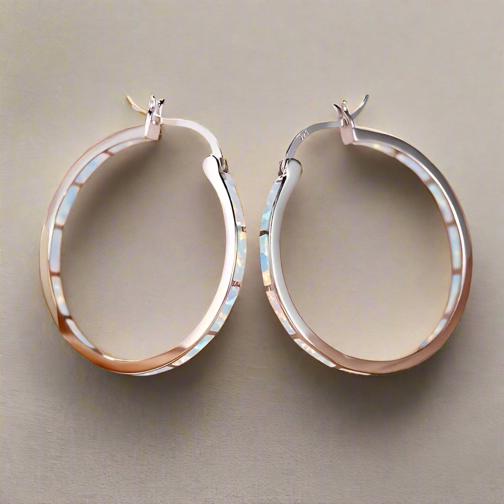 Elegant Silver Hoop Earrings