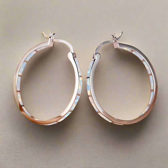 Elegant Silver Hoop Earrings