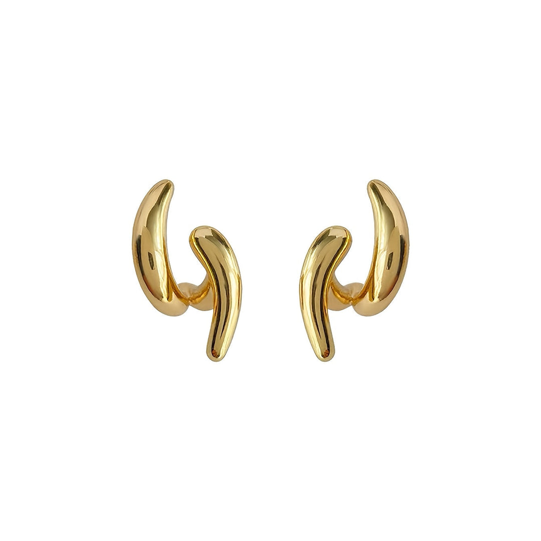 Irregular and Unique Temperament Women's Earrings