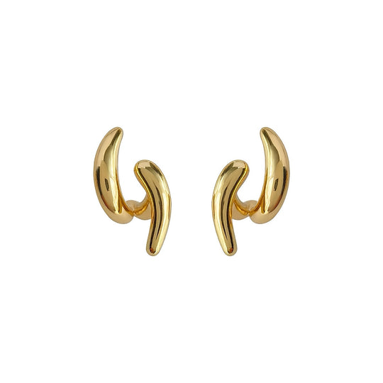 Irregular and Unique Temperament Women's Earrings