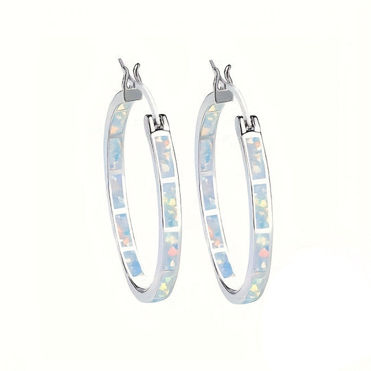 Elegant Silver Hoop Earrings